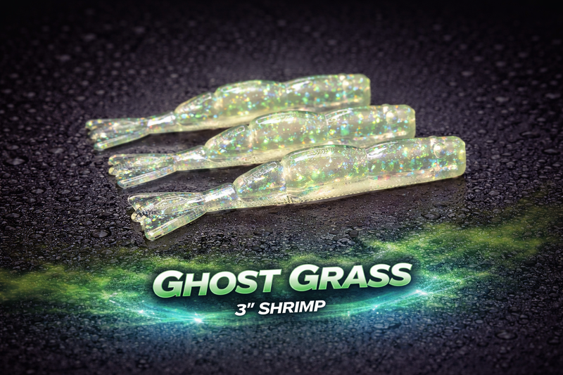 GHOST GRASS – 3” SHRIMP