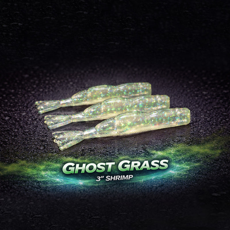 GHOST GRASS – 3” SHRIMP